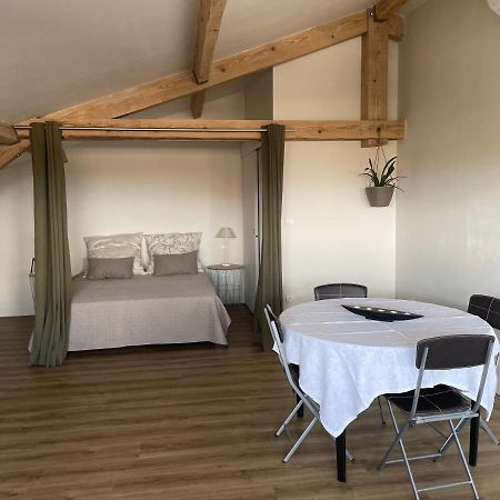 Loft Villebourbon 40 M2 Avec Parking 蒙托邦 外观 照片
