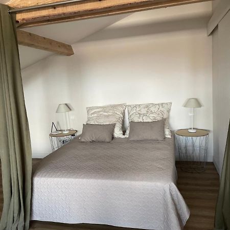 Loft Villebourbon 40 M2 Avec Parking 蒙托邦 外观 照片