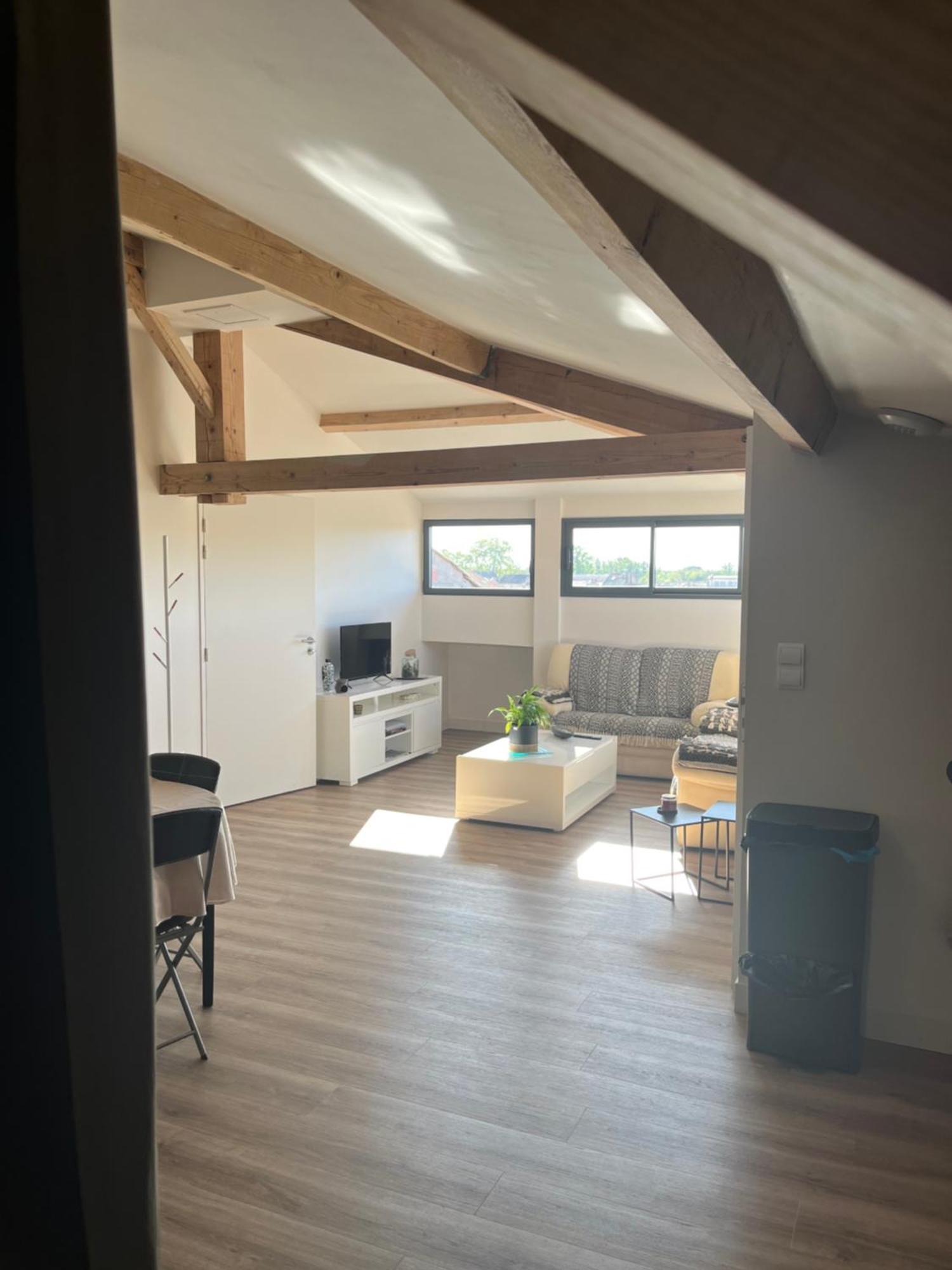 Loft Villebourbon 40 M2 Avec Parking 蒙托邦 外观 照片